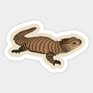 Armadillo girdled lizard cartoon illustration Sticker